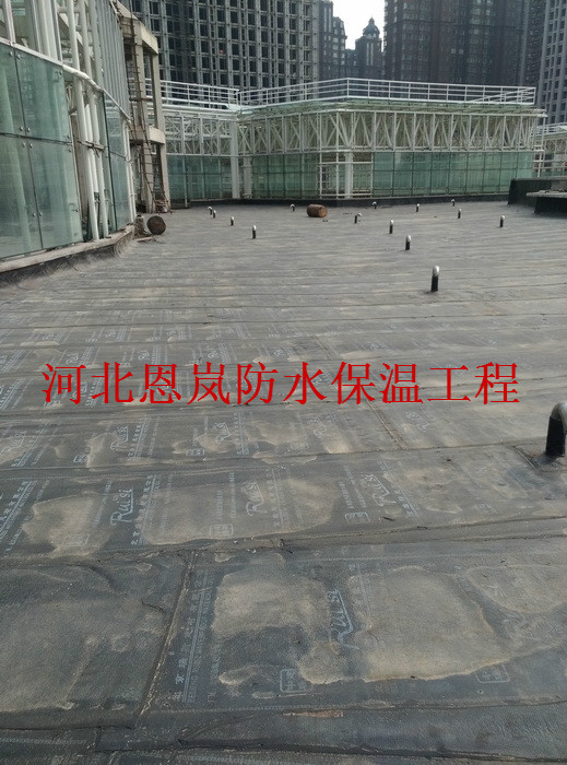 IMG_20160520_155024.jpg