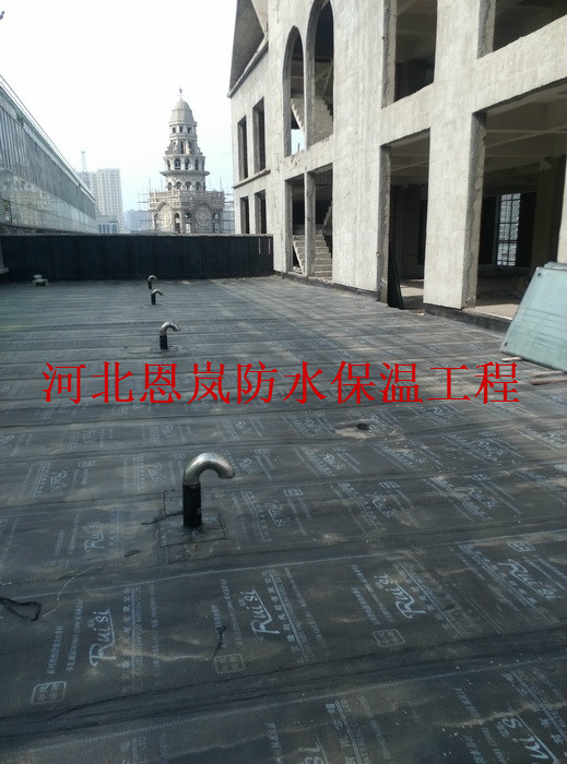 IMG_20160520_154604.jpg