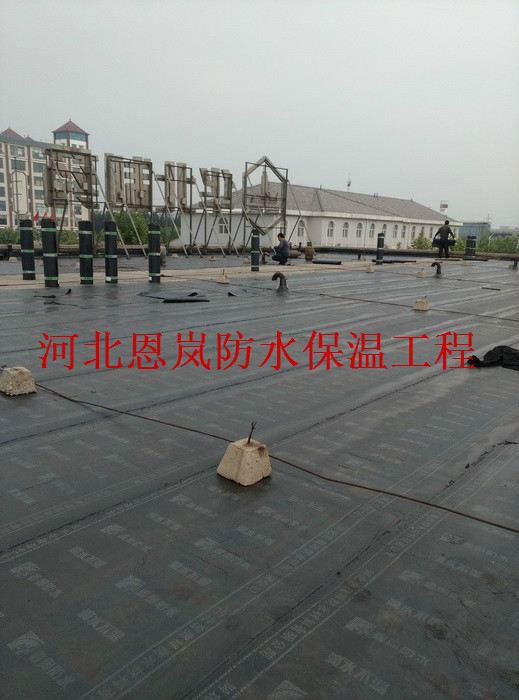 IMG_20160509_173636.jpg