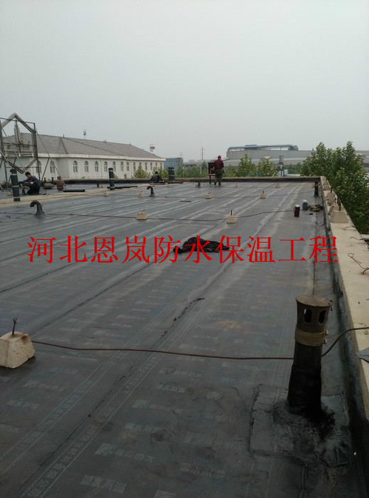IMG_20160509_173639.jpg