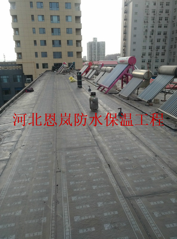 IMG_20160408_172433.jpg
