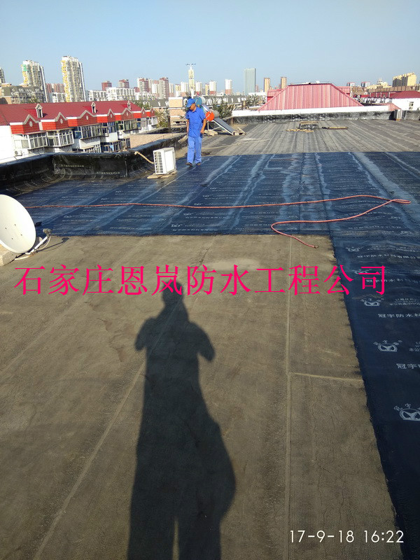 IMG_20170918_162210.jpg