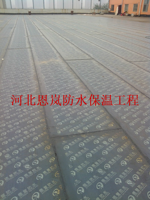 IMG_20140922_154103.jpg