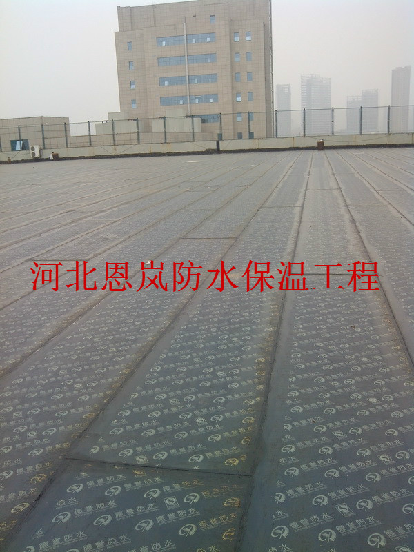 IMG_20140922_154035.jpg