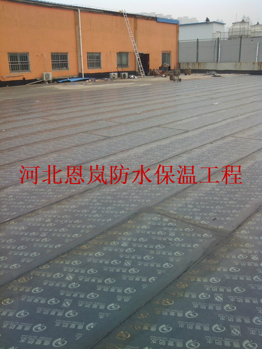 IMG_20140922_154132.jpg