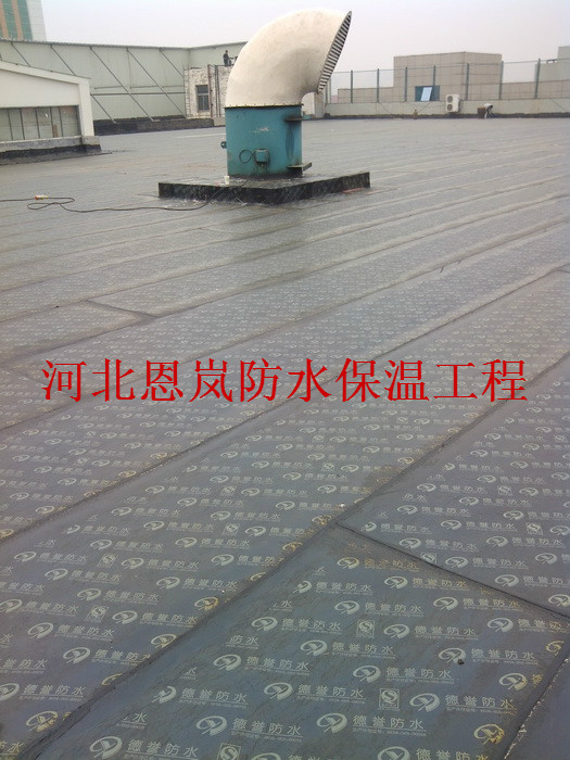 IMG_20140922_154107.jpg