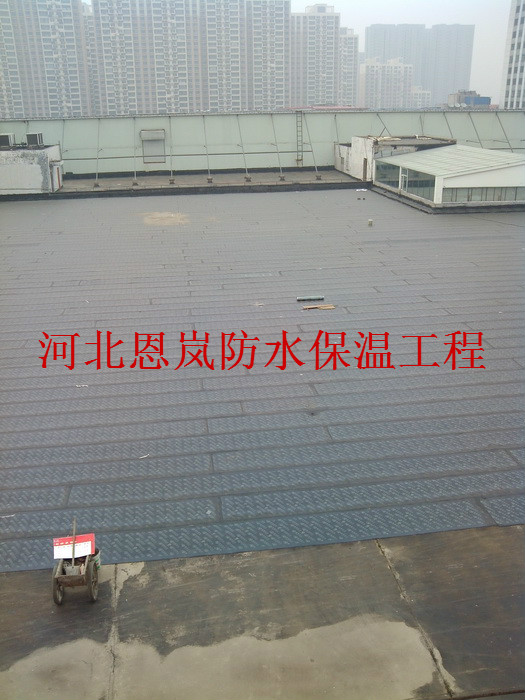 IMG_20140922_162645.jpg