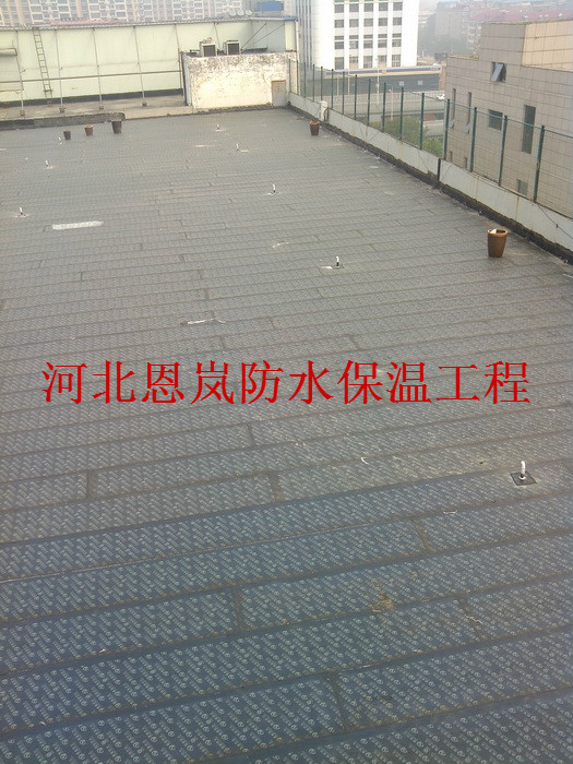 IMG_20140925_095303.jpg