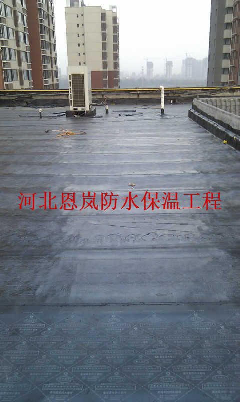 xc (190).jpg