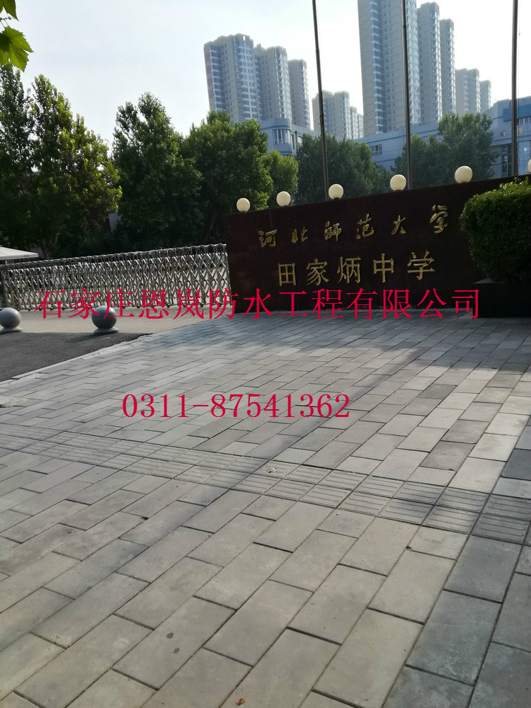 IMG_20180724_081021.jpg