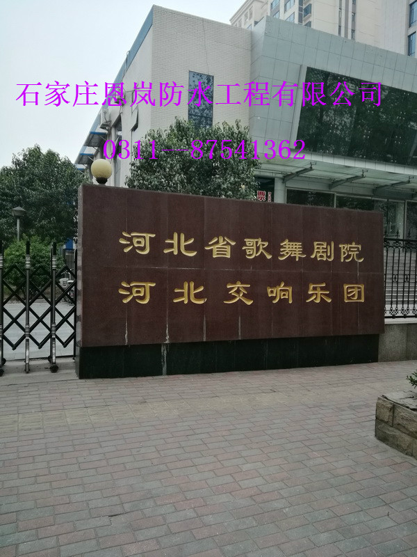 IMG_20180410_061341.jpg