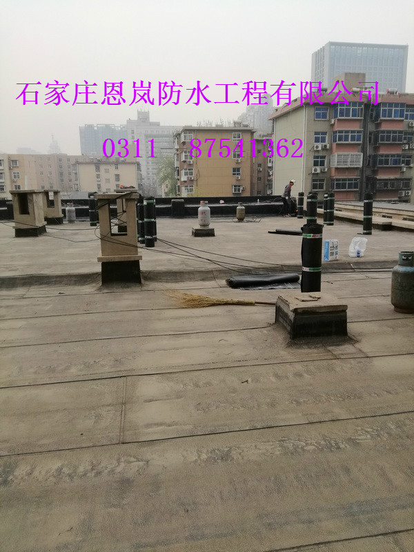 IMG_20180410_072036.jpg