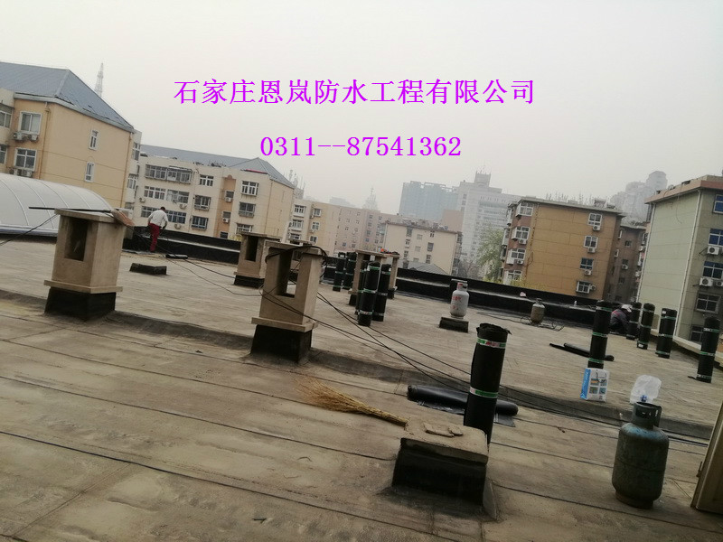 IMG_20180410_072052.jpg