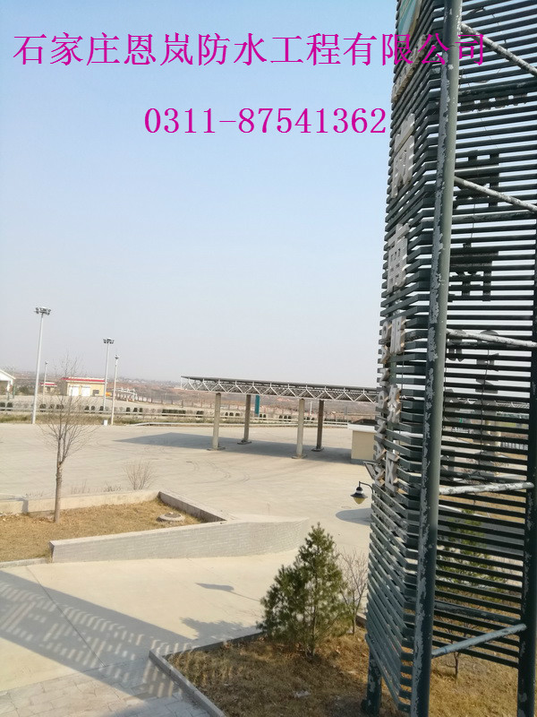 IMG_20180325_150227.jpg