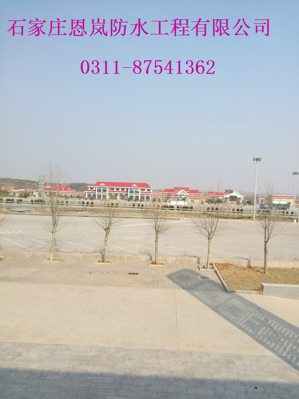 IMG_20180325_150308.jpg