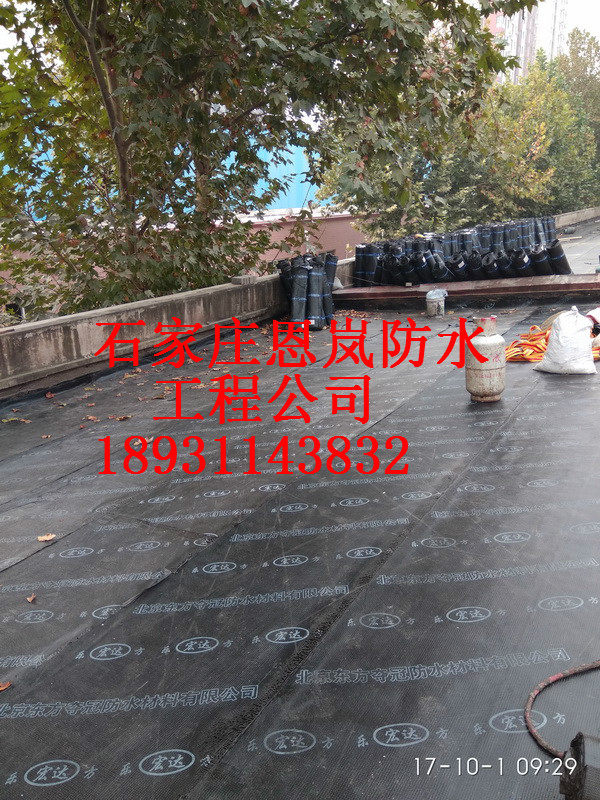IMG_20171001_092911_调整大小.jpg