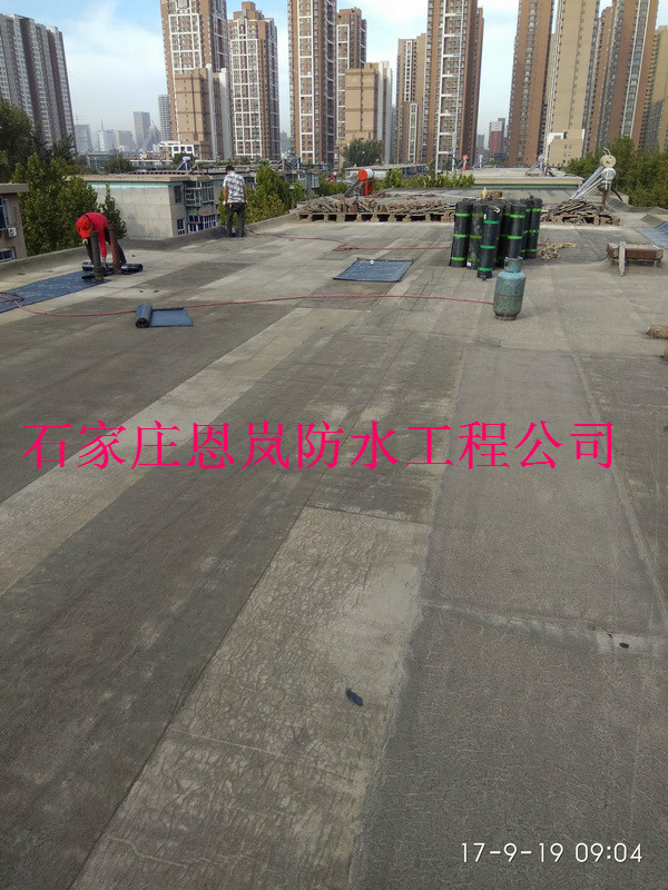 IMG_20170919_090437.jpg
