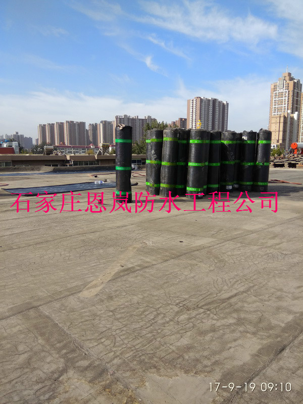 IMG_20170919_091045.jpg