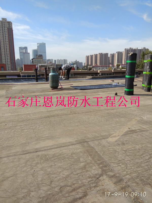 IMG_20170919_091049.jpg